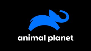 Animal Planet ao Vivo