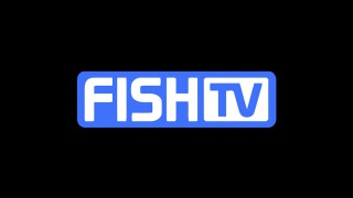Fish TV ao Vivo